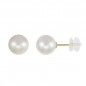 Boucles d'Oreilles - Puces Perles de Culture 0.80cm - Or Jaune - Femme ou Enfant
