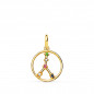 Pendentif Médaille Or 18 Carats 750 Jaune - Constellation Zodiaque Cancer - Chaine Offerte