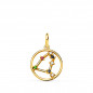 Pendentif Médaille Or 18 Carats 750 Jaune - Constellation Zodiaque Capricorne - Chaine Offerte