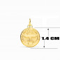 Collier - Médaille Saint Esprit Or Jaune - Chaîne Dorée - Gravure Offerte