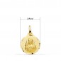 Collier - Médaille Scapulaire Or 18 Carats 750/000 Jaune - Chaîne Dorée